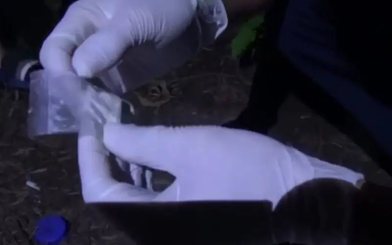 3,5 года тюрьмы получил житель Уральска за хранение «синтетики»