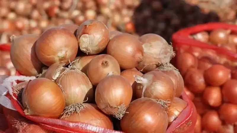 Атырауда қоқыста картоп пен пияз үйіліп жатыр