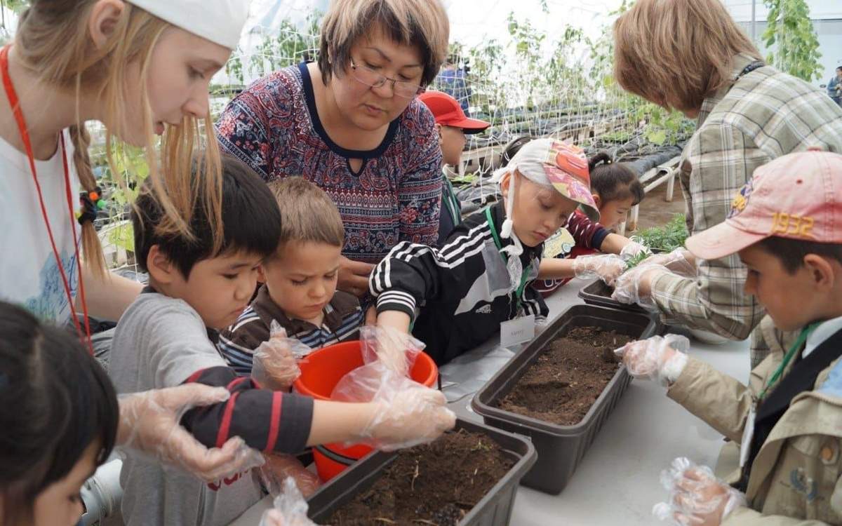 Руководитель передаст