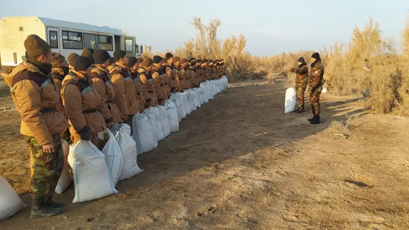 арал теңізі