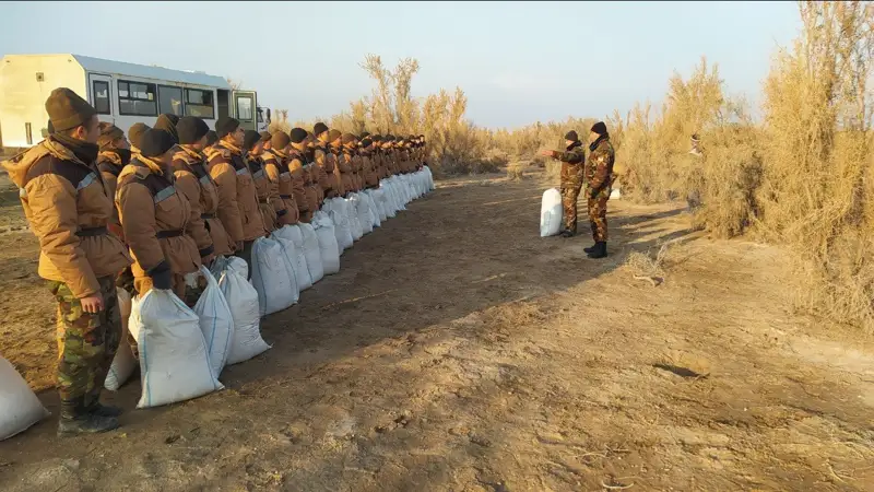 В Узбекистане дно Аральского моря засеют саксаулом