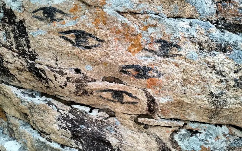 Писка және ұйықтап жатқан жігіт