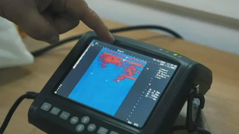 ученые выиграли грант