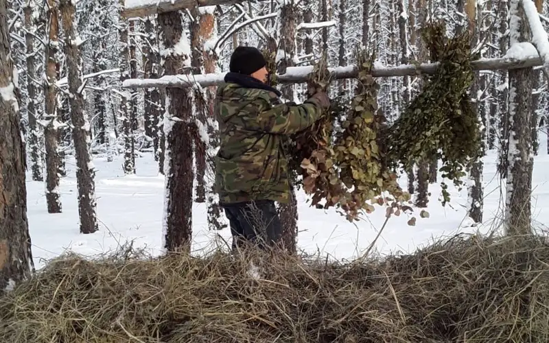 Орман шаруашылығы