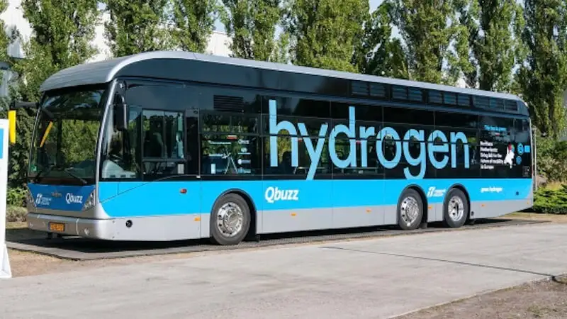 водоробуслар