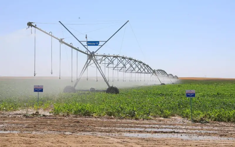 Галина Скрипник/Kazinform