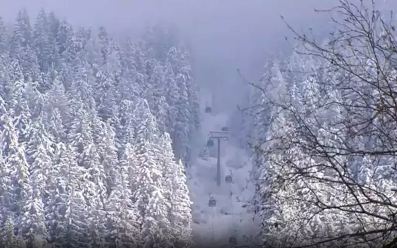 Семь человек пострадали при падении кабины с канатной дороги на курорте в Австрии