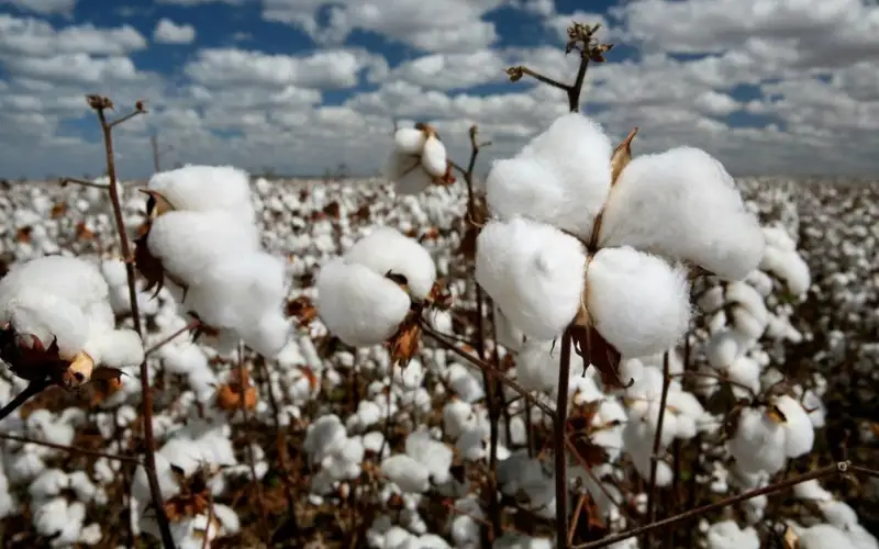 Түркістан облысының әкімдігі