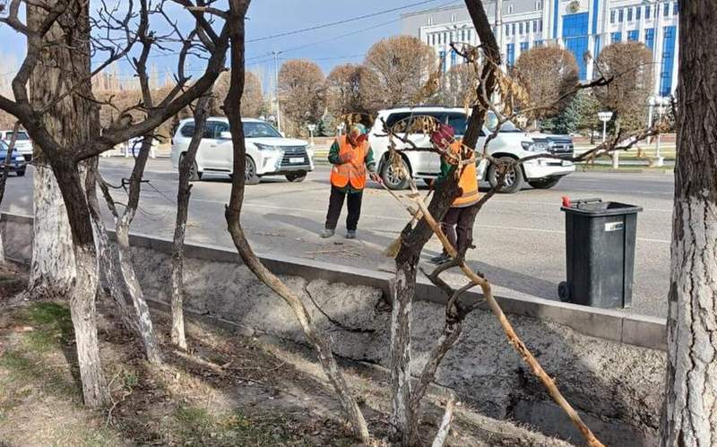 В Таразе ликвидируют последствия урагана