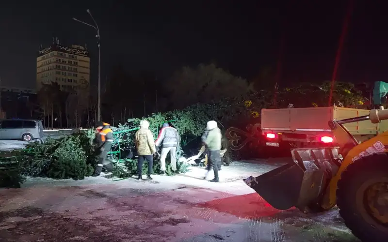 Снесло ветром главную елку Павлодара