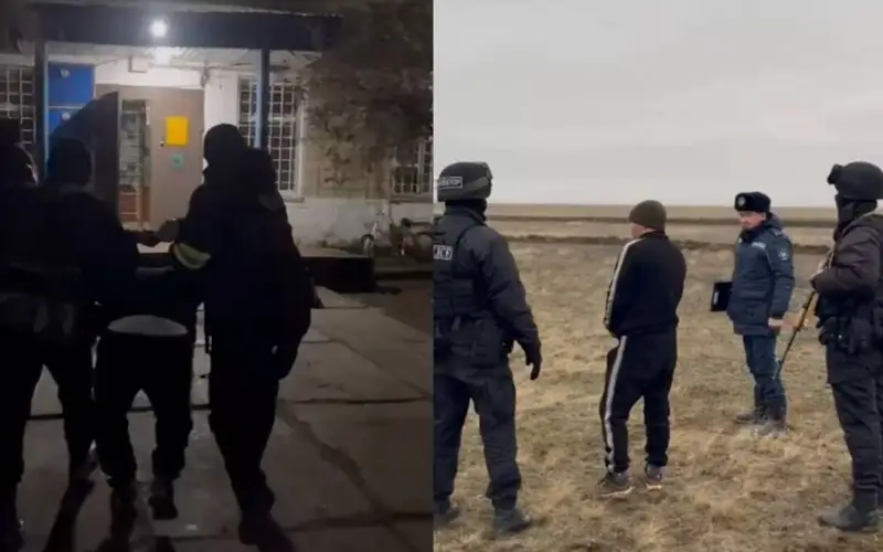 скотокрады