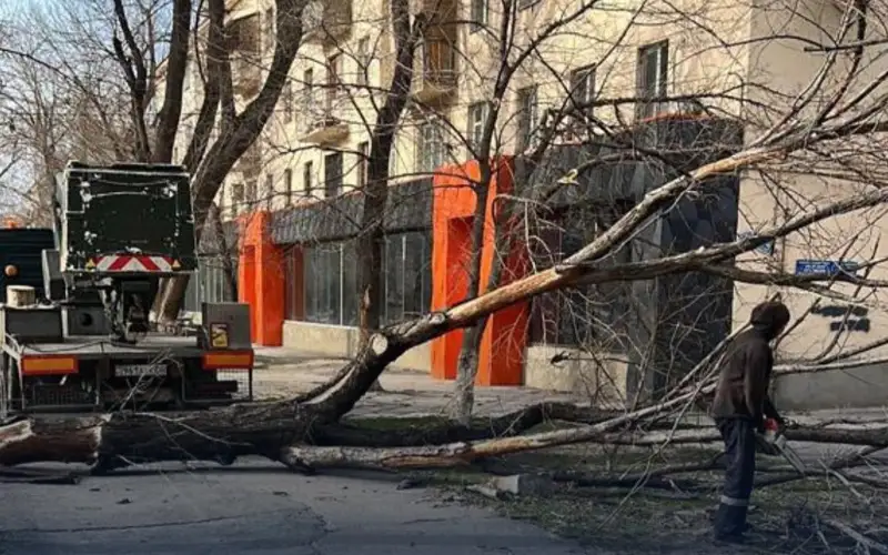 В Таразе ликвидируют последствия урагана