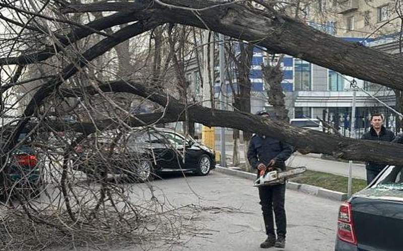 В Таразе ликвидируют последствия урагана