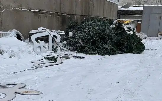 главная елка Павлодара рухнула из-за ветра