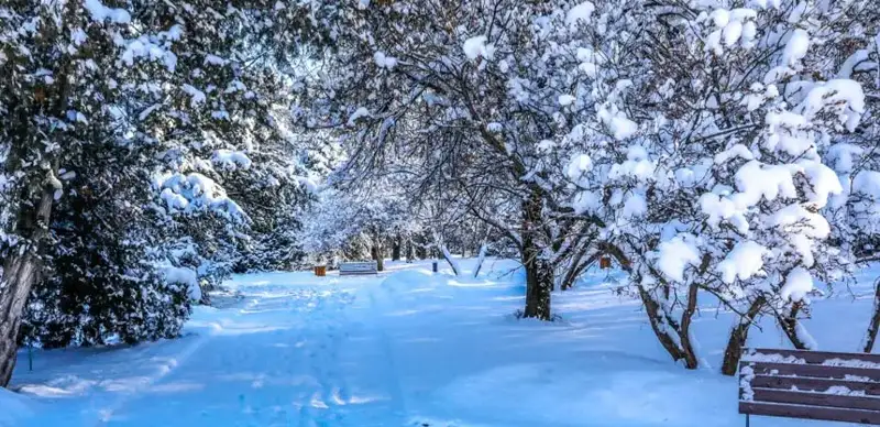 Заснеженный парк в Алматы