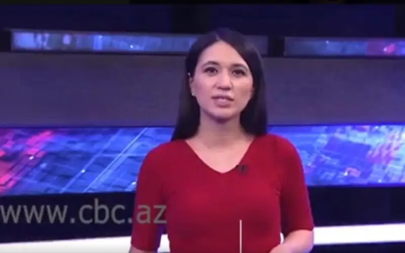 Журналистка азербайджанского СМИ