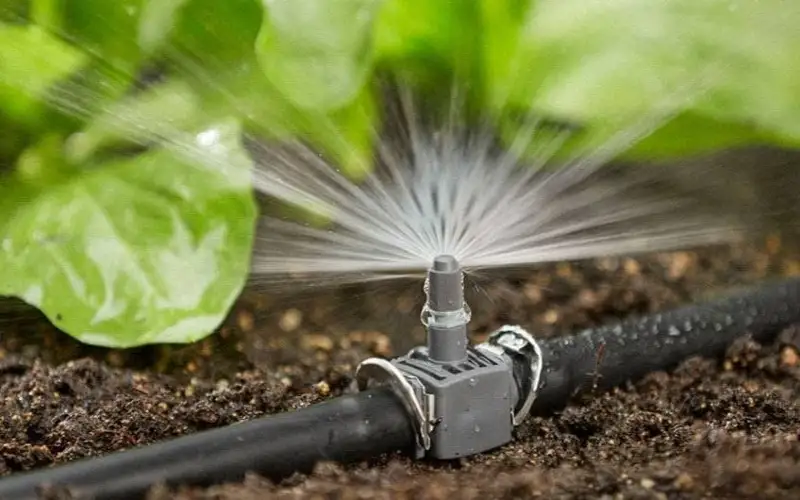 сувни тежовчи технологиялар