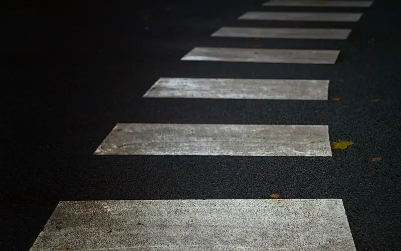 зебра пешеход