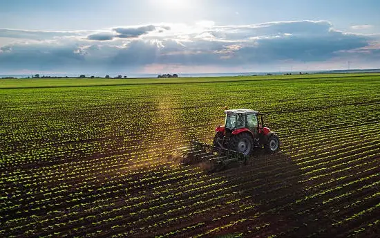 ВОЗ призвала правительства объявить фермеров вне закона -  фейк 