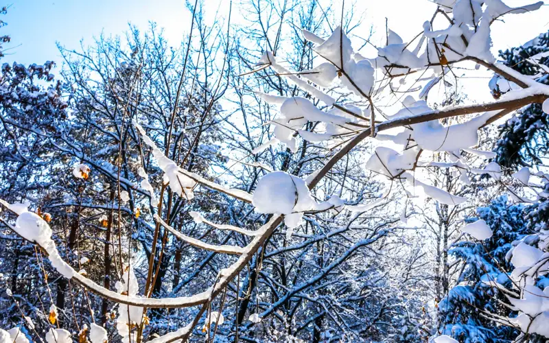 Бүгін еліміздің басым бөлігінде аяз болады