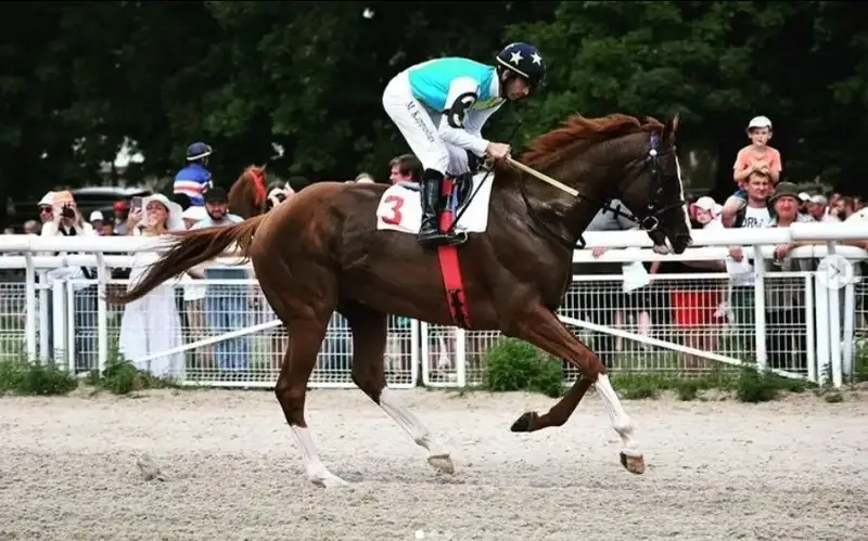 Kazakh horse wins Dubai Racing Carnival 