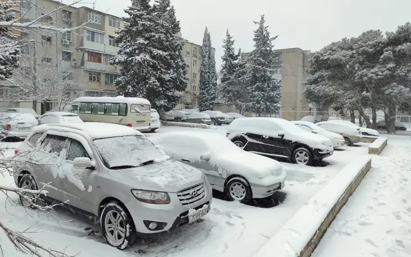 Снегопад накрыл Баку