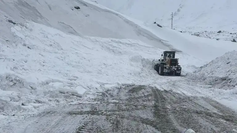 Қор кўчкиси