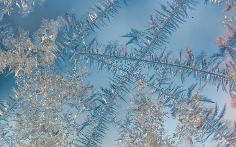 frosts