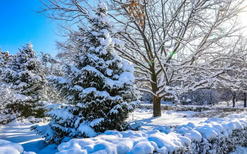 Most parts of Kazakhstan to see no precipitation Jan 17