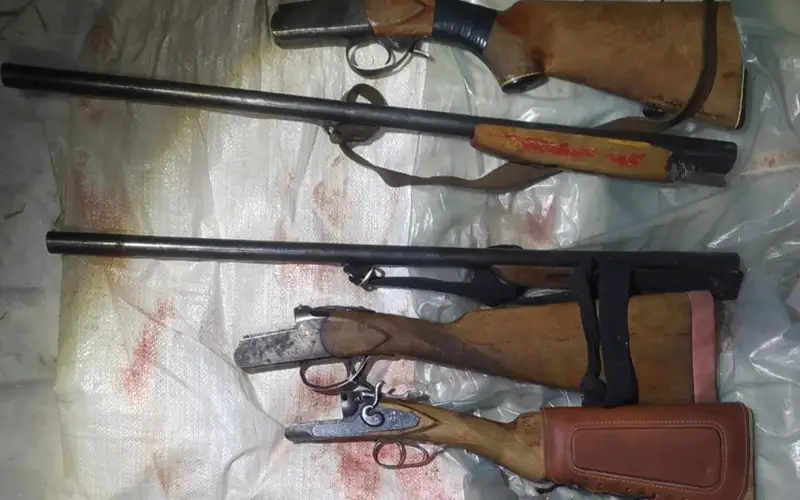 В пойме Иртыша от рук браконьеров погибли 12 косуль