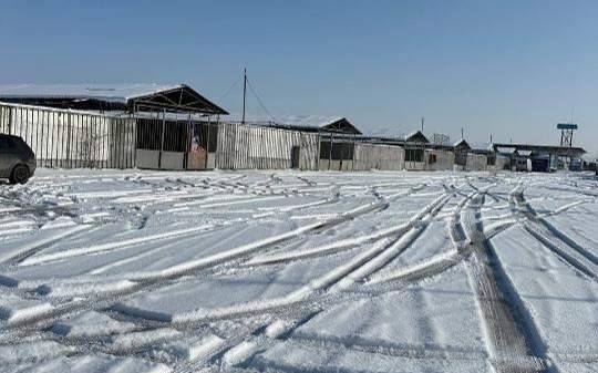земли рынка в Кордайском районе, аффилированного с Болатом Назарбаевым, возвращены государству,