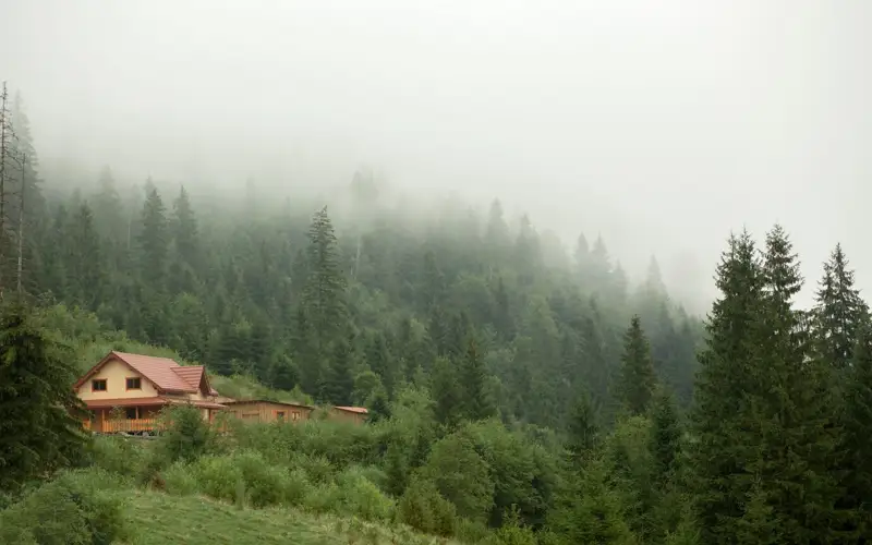 taý