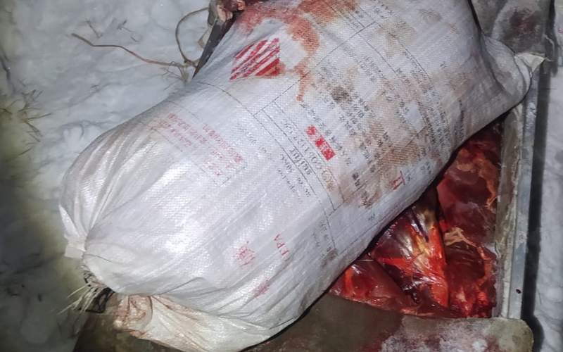 В пойме Иртыша от рук браконьеров погибли 12 косуль В пойме Иртыша от рук браконьеров погибли 12 косуль