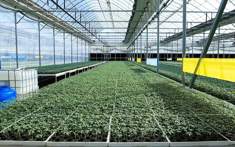 Agriculture