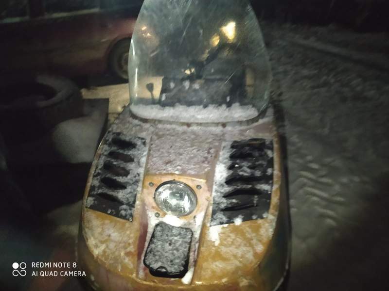 В пойме Иртыша от рук браконьеров погибли 12 косуль В пойме Иртыша от рук браконьеров погибли 12 косуль