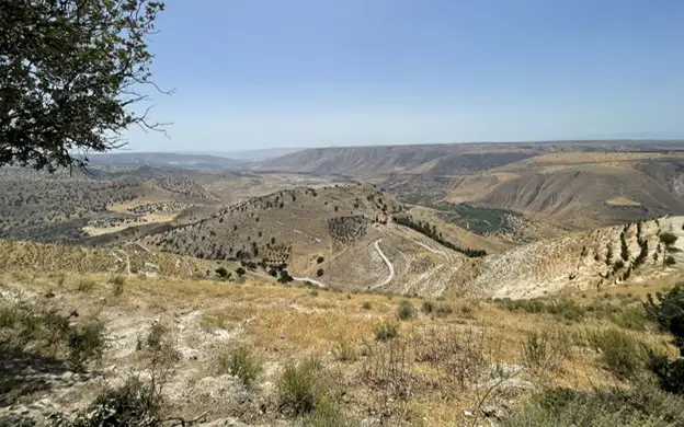 голанские высоты