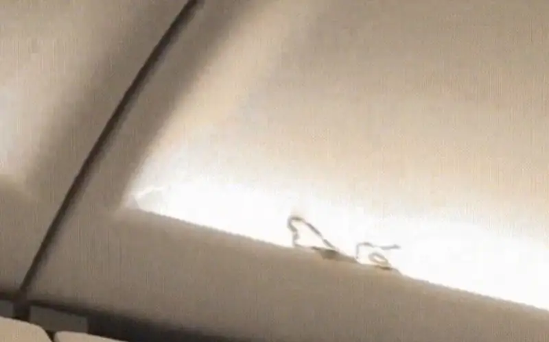 Фото: видеодан алынған кадр  