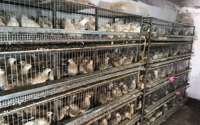 Фото: "Байқоңыр" әлеуметтік кәсіпкерлік корпорациясы