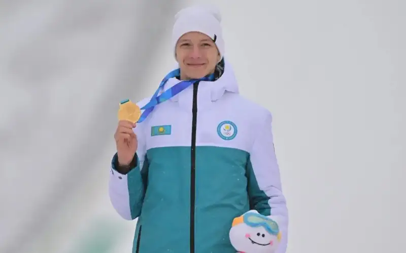 Илья Мизерниз