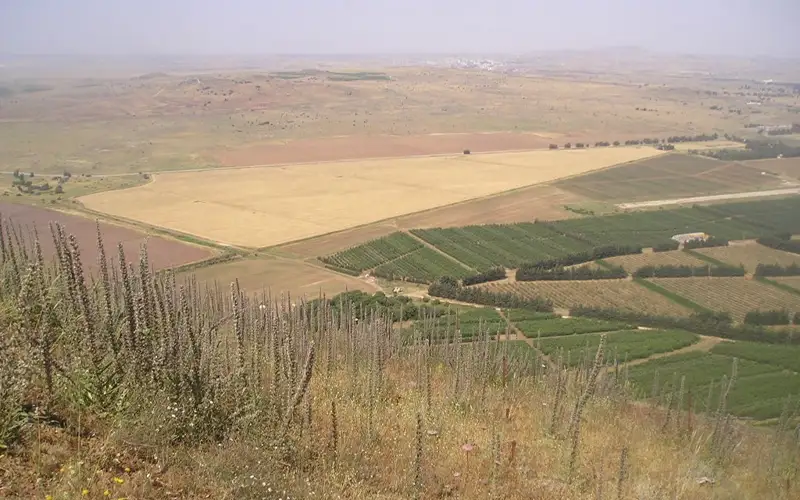 Glan bıiktigi