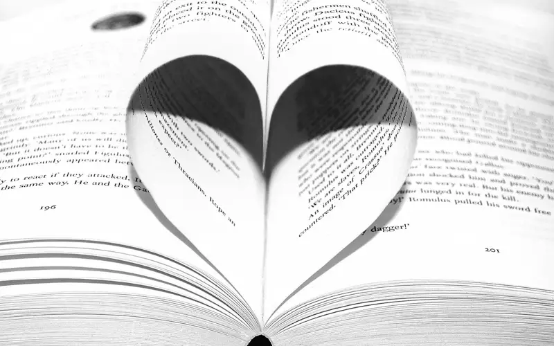 литература