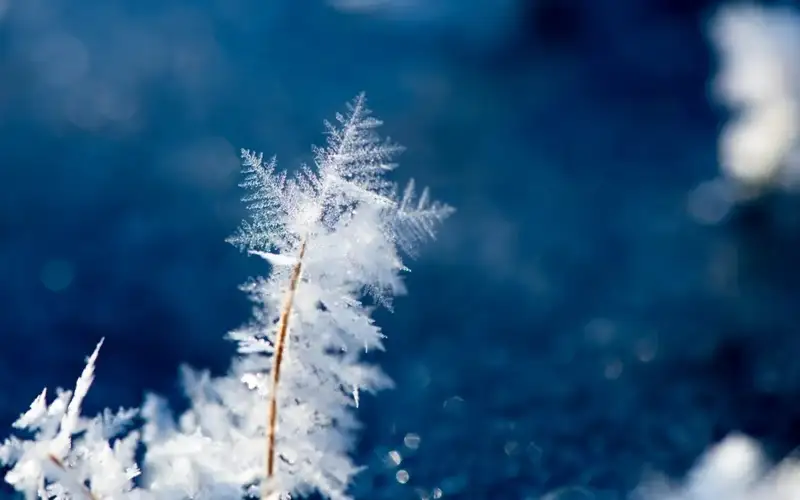 Weather in Kazakhstan