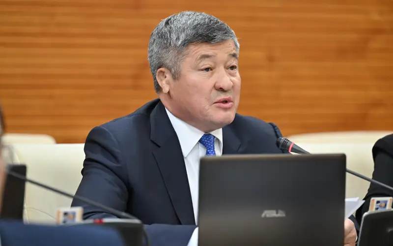 Дәулет Тұрлыханов