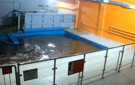 зоопарк Алматы