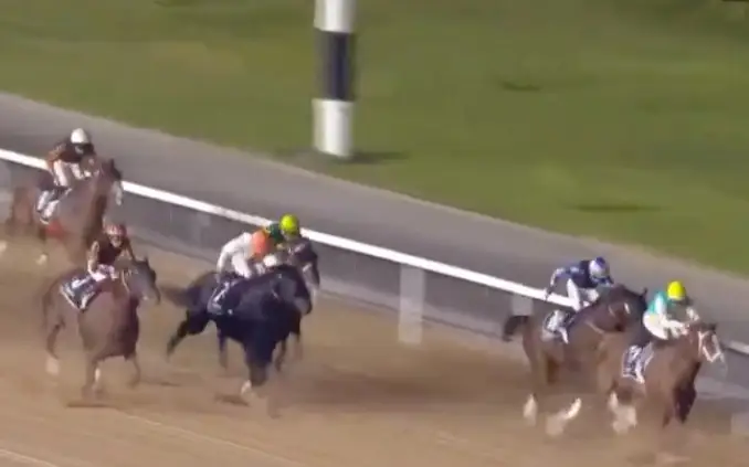 Конь из Казахстана одержал еще одну победу в престижных скачках в Дубае 