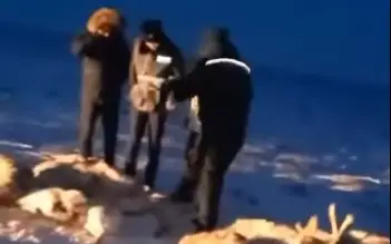 ólekse