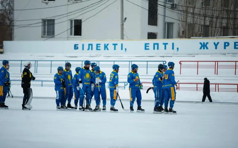 допты хоккей