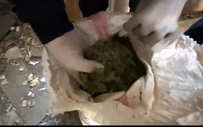 У пенсионера из жамбылского села изъяли более 30 кг марихуаны марихуана