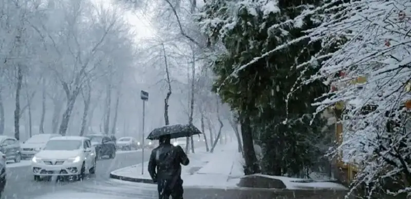 непогода зима снегопад