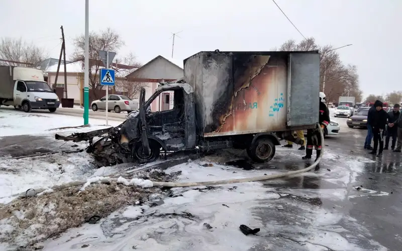 Газель жанып кетті